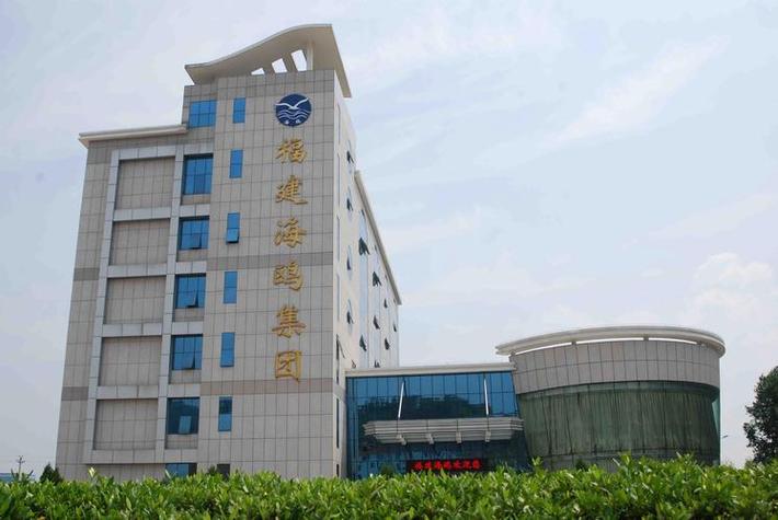 福鼎网站建设公司赋能上海科技企业 跨区域合作如何打造高转化官网
